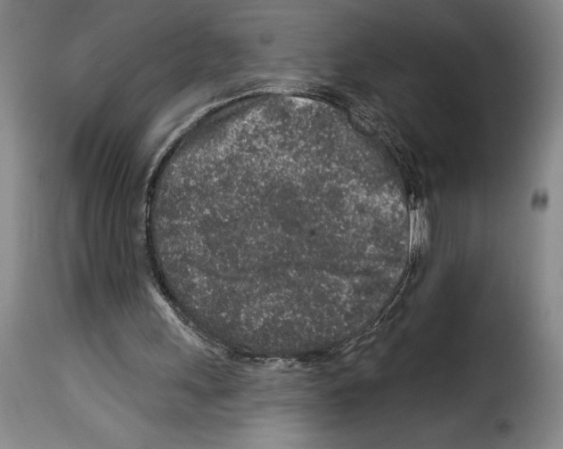 X0000114210243200911201029