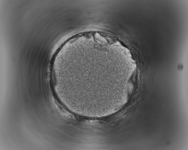 X0000114210244200911201029