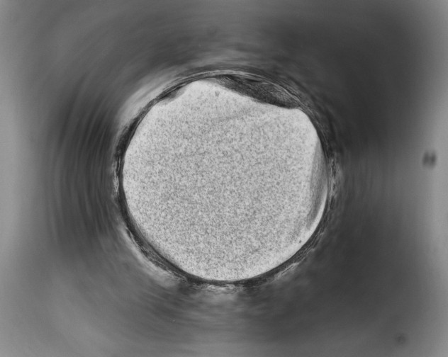 X0000114210245200911201029