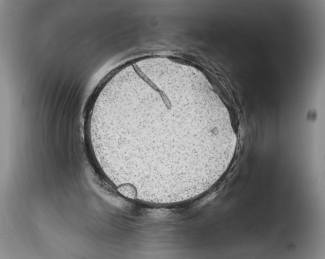 X0000114210246200911201029