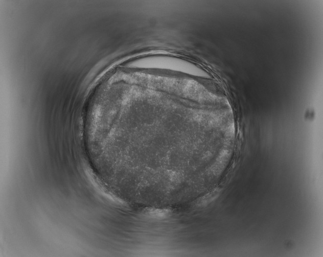 X0000114210247200911201029