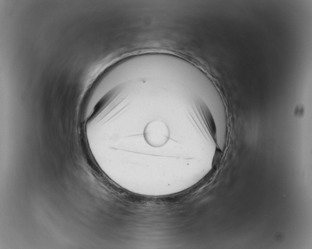 X0000114210248200911201029