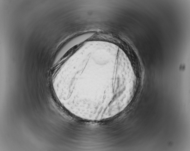 X0000114210249200911201029