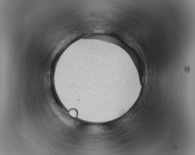 X0000114210250200911201029