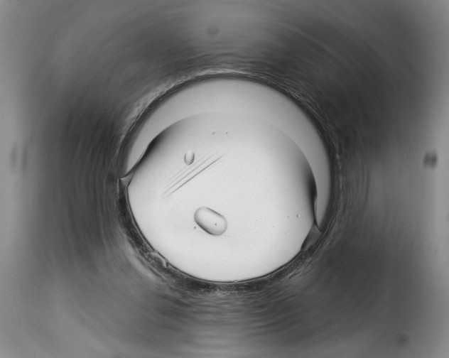 X0000114210252200911201029