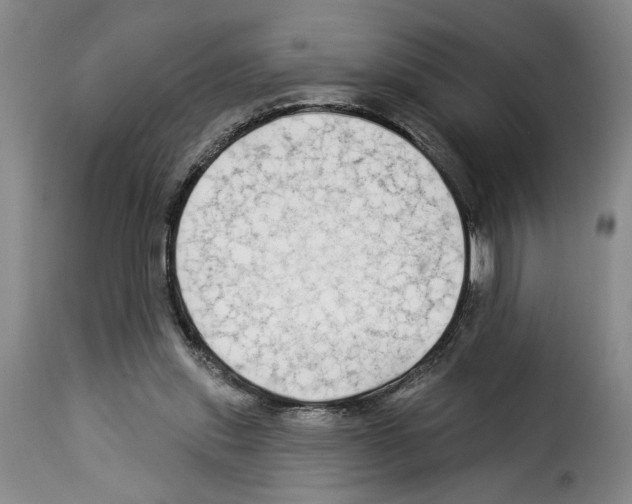 X0000114210253200911201029