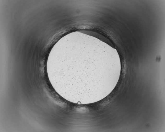 X0000114210258200911201029