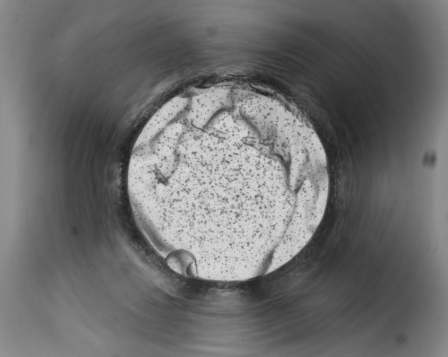 X0000114210260200911201029