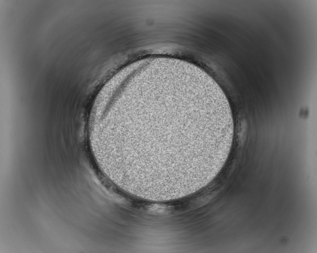 X0000114210261200911201029