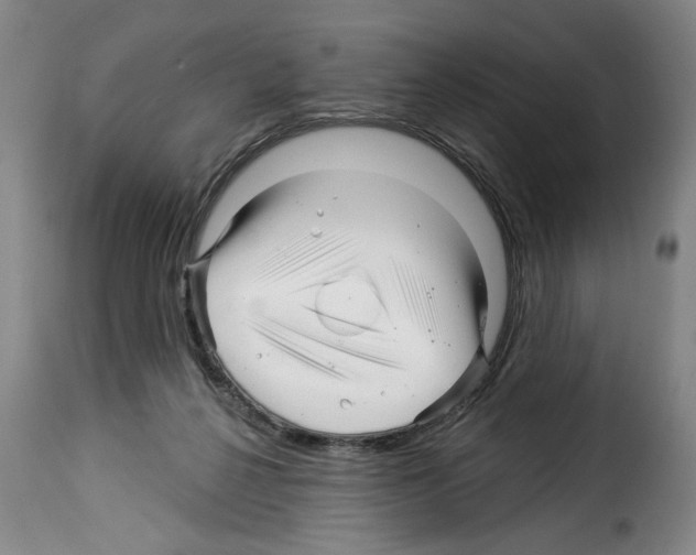 X0000114210264200911201029