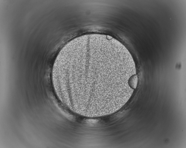 X0000114210265200911201029