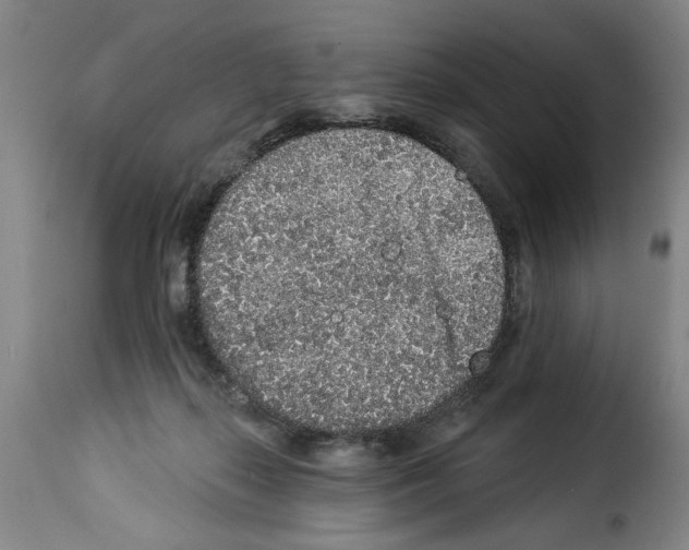 X0000114210267200911201029