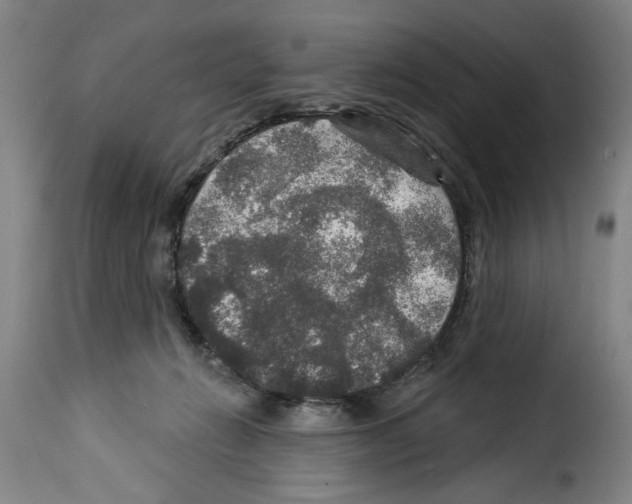 X0000114210270200911201029