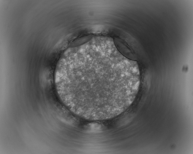 X0000114210272200911201029