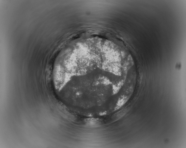 X0000114210273200911201029
