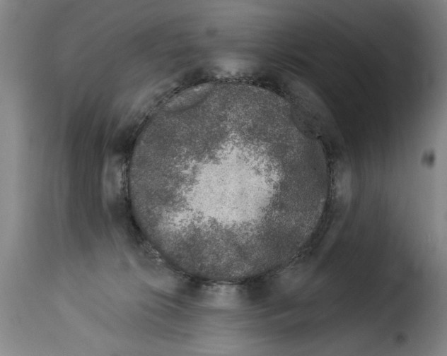 X0000114210276200911201029