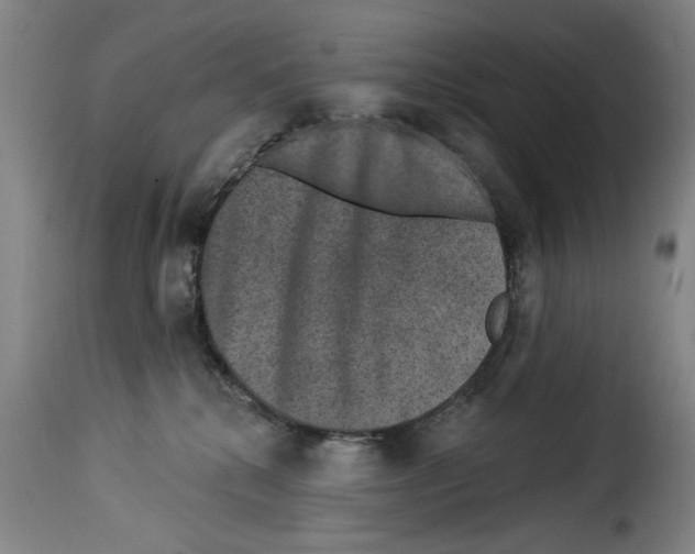 X0000114210280200911201029