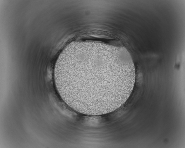 X0000114210282200911201029