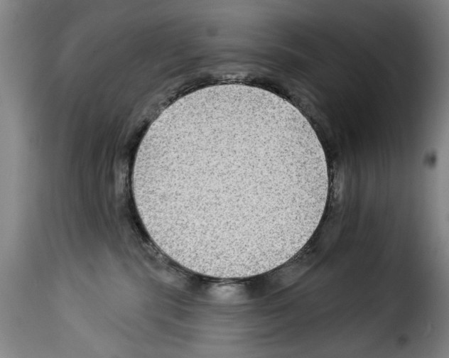 X0000114210283200911201029