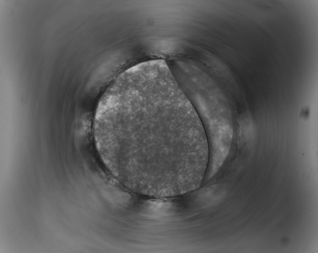 X0000114210284200911201029