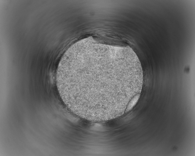 X0000114210285200911201029