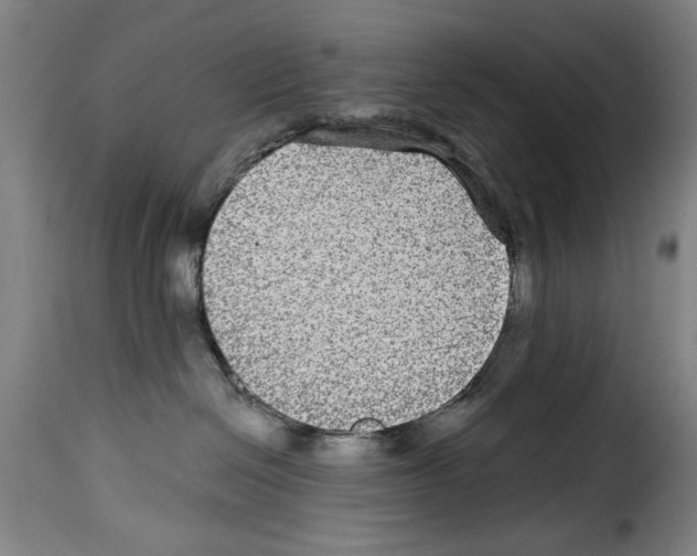 X0000114210286200911201029