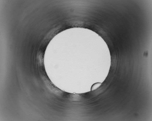 X0000114210287200911201029