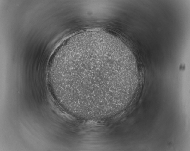 X0000114210290200911201029