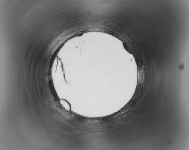 X0000114210291200911201029