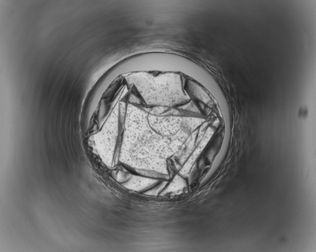 X0000114210292200911201029