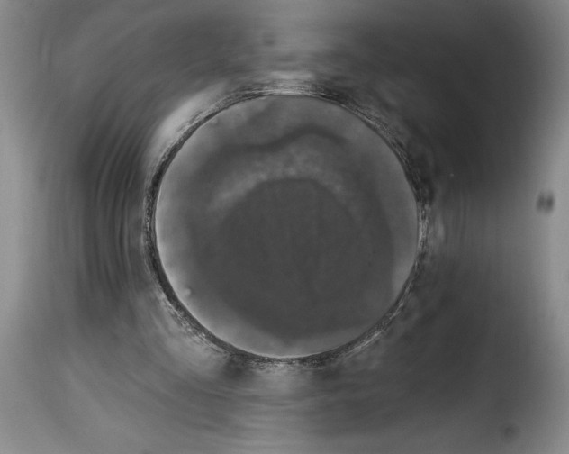 X0000114210293200911201029