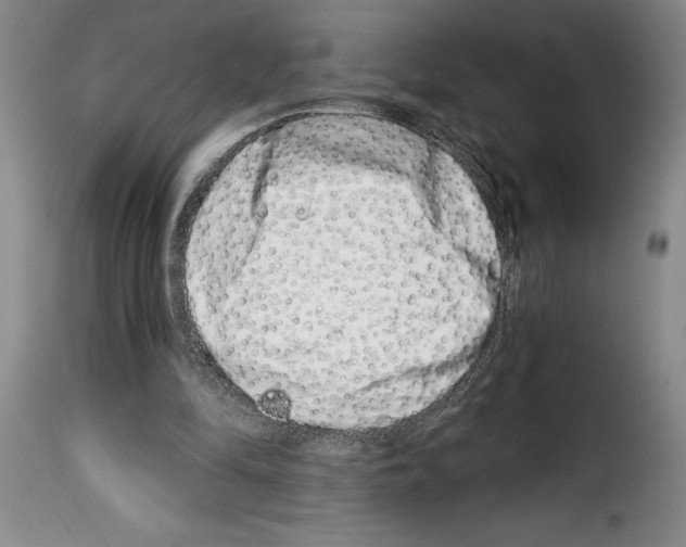 X0000114210294200911201029
