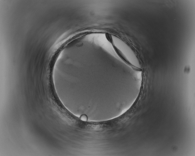 X0000114210295200911201029