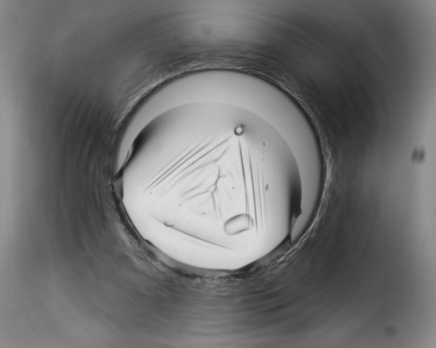 X0000114210297200911201029