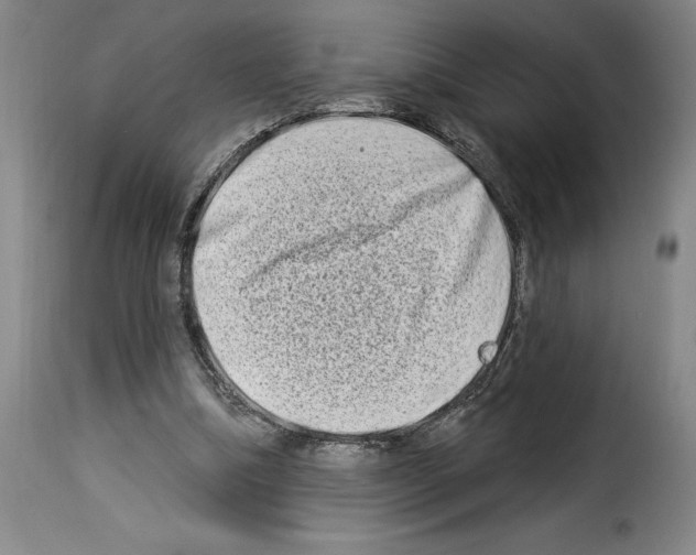 X0000114210298200911201029