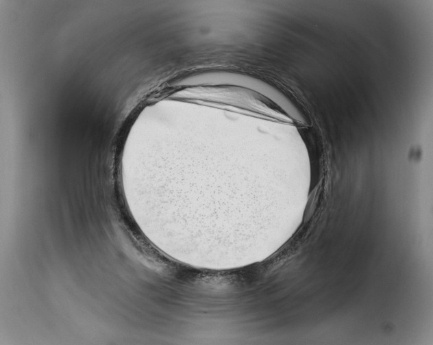 X0000114210299200911201029