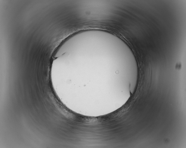 X0000114210301200911201029