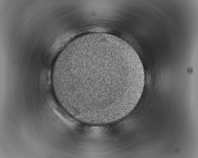 X0000114210302200911201029