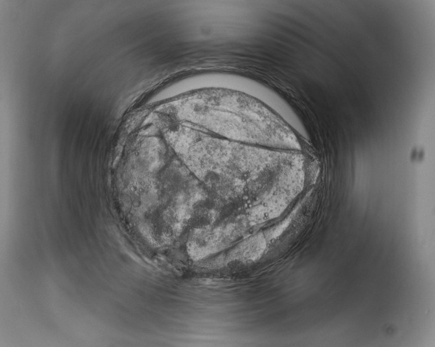 X0000114210303200911201029