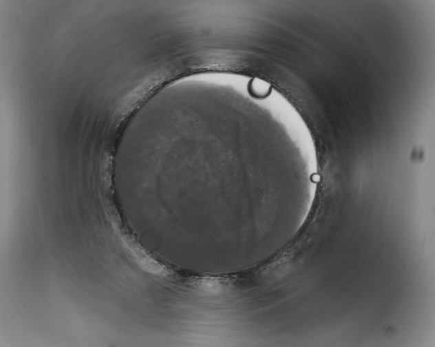 X0000114210305200911201029