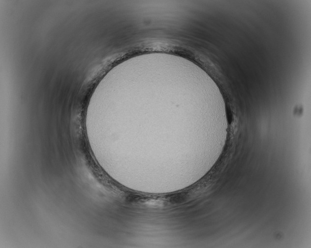 X0000114210306200911201028