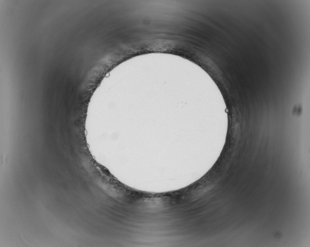 X0000114210307200911201028