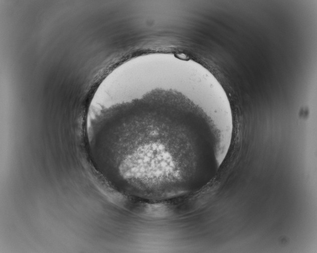 X0000114210309200911201028
