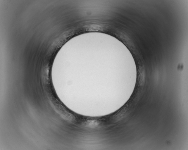 X0000114210310200911201028