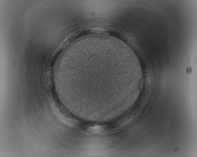 X0000114210312200911201028