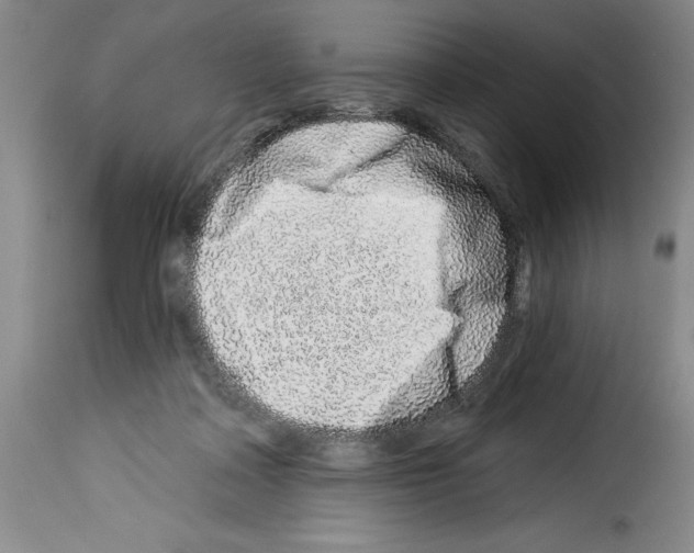 X0000114210314200911201028