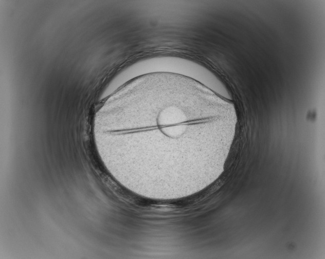 X0000114210316200911201028
