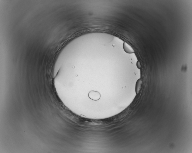 X0000114210317200911201028