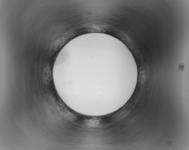 X0000114210318200911201028
