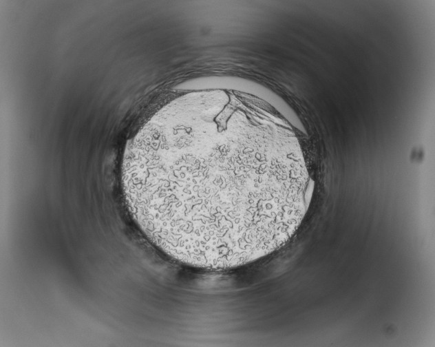 X0000114210319200911201028
